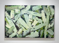 Green Scream by Jason Adkins
