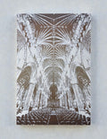 Luminosity by Jason Adkins